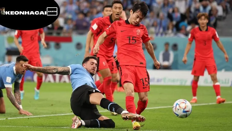 soi-keo-han-quoc-phan-tich