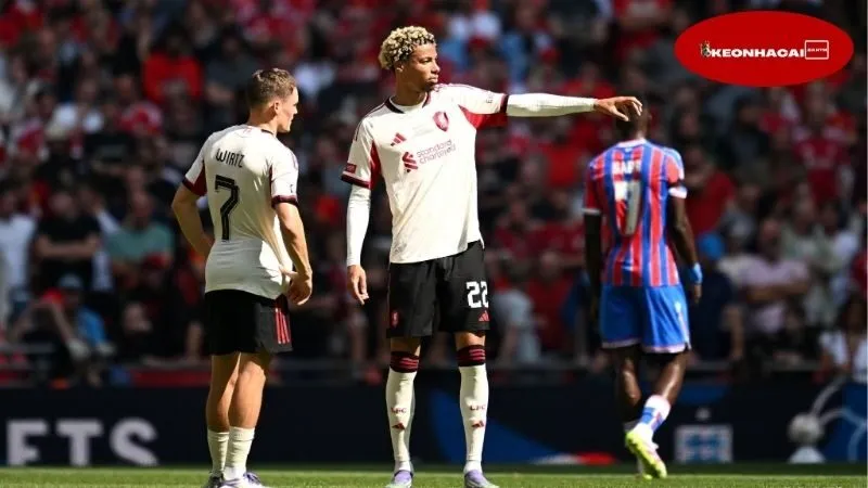 Nhận định bóng đá PSG vs Tottenham, 02h00 ngày 14/8, vặt lông gà trống 8 Thông tin về lực lượng của PSG và Tottenham