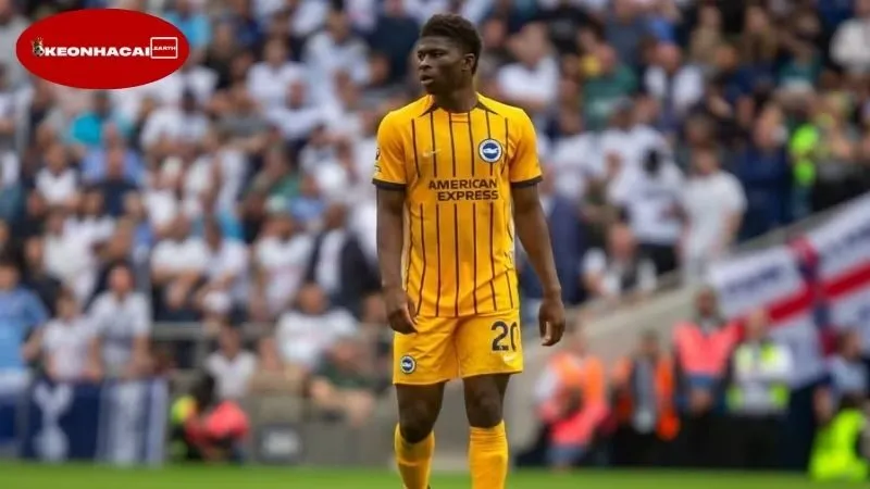 Tình hình chuyển nhượng hiện tại