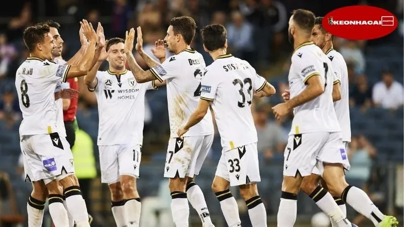 Nhận định hiệp 1 Tai Po vs Macarthur