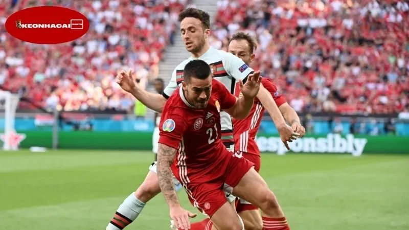 Nhận định bóng đá Hungary vs Bồ Đào Nha, 01h45 ngày 10/9, 3 điểm về chỗ cho Ronaldo 2 Thông tin mới nhất về lực lượng thi đấu giữa Hungary và Bồ Đào Nha